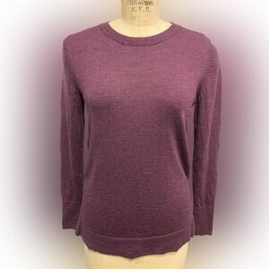 💯% Extta Fine Merino Wool Crew Sweater Banana Republic Plum Small